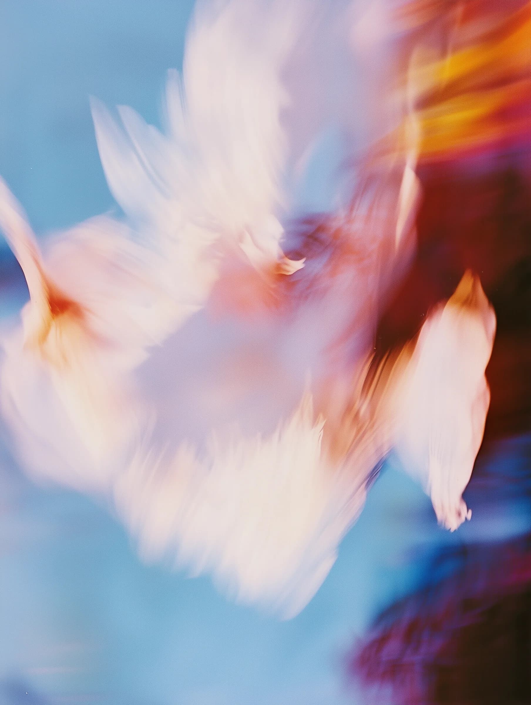 Nextdock gallery image 2